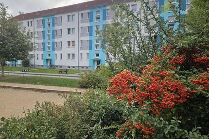 Genießen Sie den Ausblick - 347,00&nbsp;EUR Kaltmiete, ca.&nbsp; 57,90&nbsp;m&sup2; in Borna (PLZ: 04552)