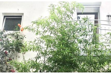 Möblierte, gepflegte 1 Zimmerwohnung, Bad u. Küche, 580,- -kalt - Verden (Aller)