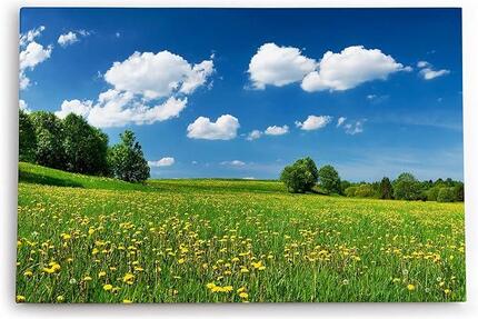 Wochenendgrundstück Trunkelsberg langfr. zu verpachten Gebote - Memmingen
