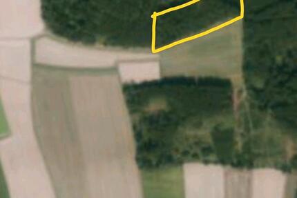 Waldgrundstück - 7,00&nbsp;EUR Kaltmiete, ca.&nbsp; 0,00&nbsp;m&sup2; in Rottenburg an der Laaber (PLZ: 84056)