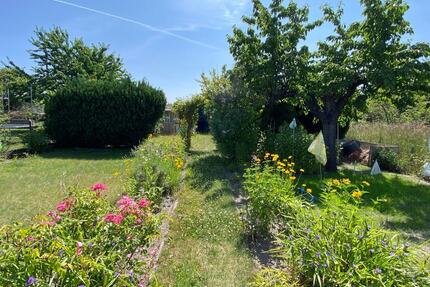 Kleingarten - 3.000,00&nbsp;EUR Kaltmiete, ca.&nbsp; 0,00&nbsp;m&sup2; in Finsterwalde (PLZ: 03238)