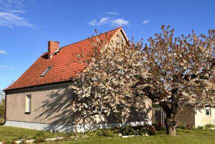Haus zum Kaufen in Bredenfelde 98.700,00 € 117 m²