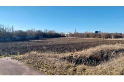 Grundstück in Halle 705.000,00 € 10832 m²