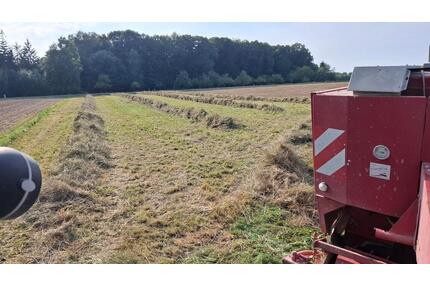 Wiese in Buchdorf günstig zu verpachten
