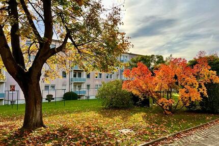 KLEIN aber FEIN *Tolle 2-Raumwohnung in ruhiger Lage* - Weißwasser (Oberlausitz)