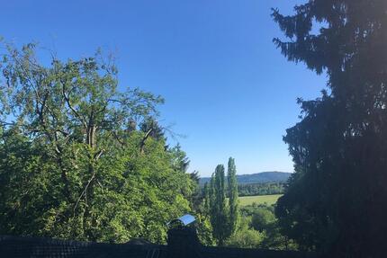 Naturnahe Dachgeschosswohnung mit Fernblick - Königstein im Taunus