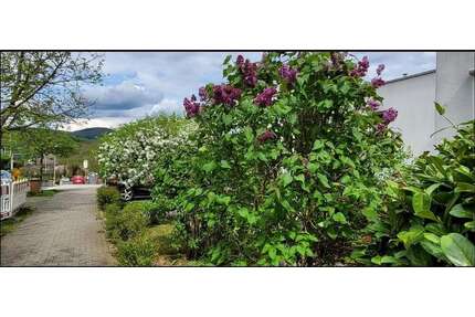 Wohnung zum Mieten in Eppstein 1.023,00 € 93 m²