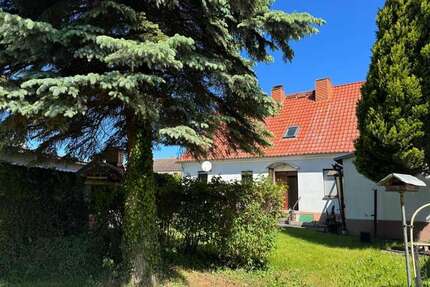 Haus zum Kaufen in Altwarp 175.000,00 € 170 m²