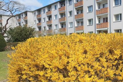 Berlin 53m² freie 2 Zi Wohnung 12247 Balkon EBK kein Makler