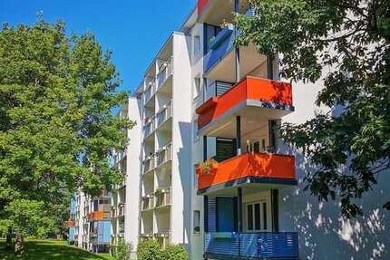 Wohnung zum Mieten in Freiberg 323,00 € 49 m²