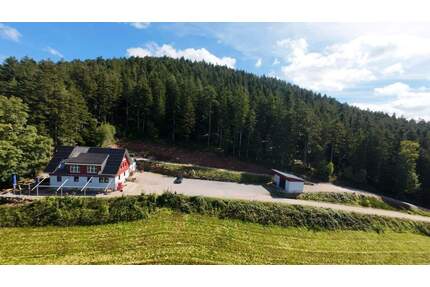Ihre Schwarzwald - Lodge mit großem Grundstück, Wald und Weitsicht! - Schenkenzell
