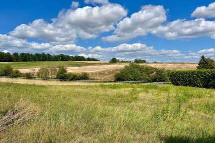 Grundstück zu verkaufen in Ober-Ramstadt 175.000,00 € 561 m²