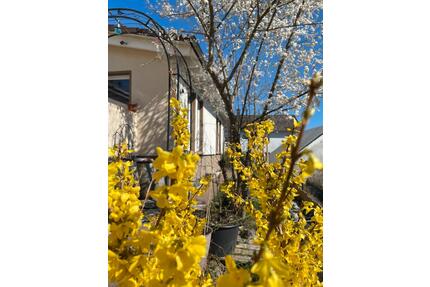 1 bis 2 Familienhaus (Verkauf oder Mietkauf) OHNE MAKLERGEBÜHREN, - Bad Laasphe