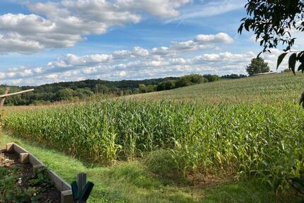 1.129 m² Freiheit: Ihr Rückzugsort mit unverbaubarem Süd-Panorama - Neunkirchen am Brand