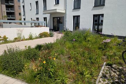 3-Zimmer Erdgeschosswohnung mit Balkon im Neubaugebiet Ostend - Hildesheim Oststadt/Stadtfeld