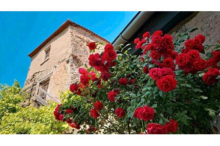 Wohnen im historischen Sudhaus der Alten Bastei in Ornbau
