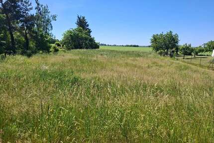 Grundstück zu verkaufen in Neuwustrow 24.000,00 € 10941 m²