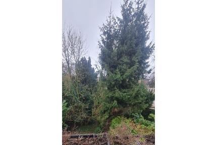 Grüne Oase in Rüttenscheid!- 3 Zi.Wohnung mit Südbalkon - Essen Stadtbezirk II