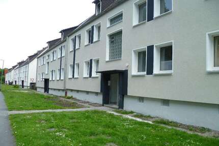 Wohnung zum Mieten in Gelsenkirchen 319,00 € 39.89 m²