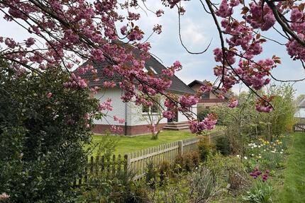 Immoblien mieten - 1.050,00&nbsp;EUR Kaltmiete, ca.&nbsp; 120,00&nbsp;m&sup2; in Detern (PLZ: 26847)
