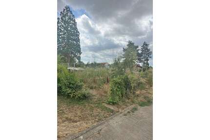 Grundstück zu verkaufen in Großkarlbach 398.000,00 € 3113 m²