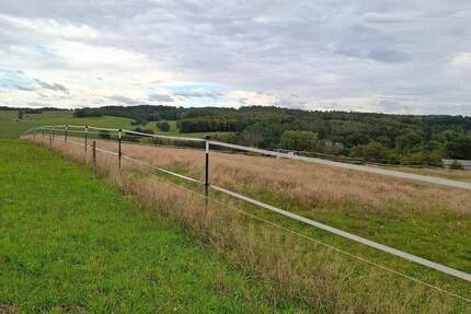 Pferdehaltung und mehr: Umfassend saniertes Bauernhaus mit Nebengebäuden und 3,54 ha Eigenland! - Altenkirchen (Westerwald) Gieleroth