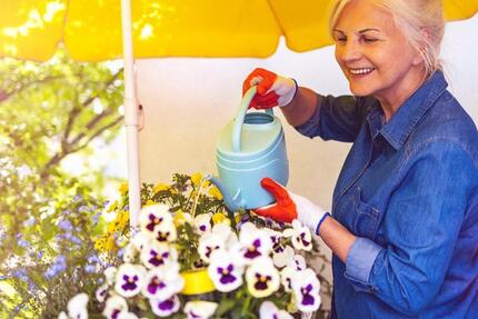 SeniorenWohnen in Innenstadtnähe! - Neubrandenburg