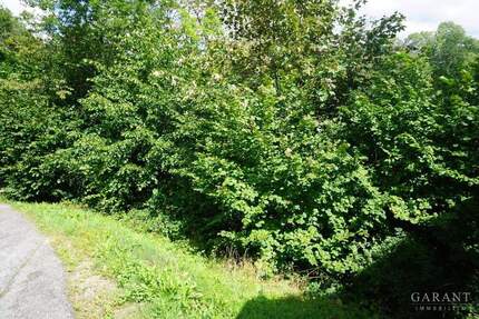 Großer Bauplatz mit guter Aussicht in Alpirsbach!