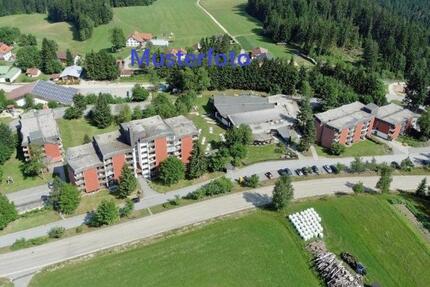 Wohnung Altreichenau möbliert - 330,00&nbsp;EUR Kaltmiete, ca.&nbsp; 33,00&nbsp;m&sup2; in Neureichenau (PLZ: 94089)