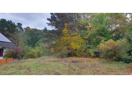 Grundstück zu verkaufen in Groß KörisOT Klein Köris 115.000,00 € 737 m² - Groß Köris/OT Klein Köris