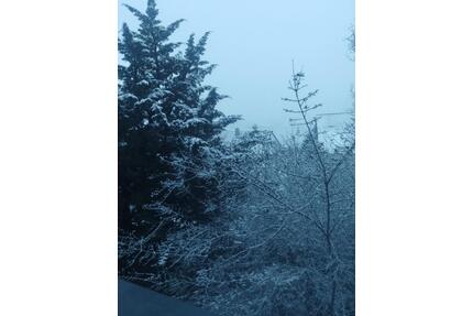 grundstück zu vermieten - 60,00&nbsp;EUR Kaltmiete, ca.&nbsp; 300,00&nbsp;m&sup2; in Schöntal (PLZ: 74214)