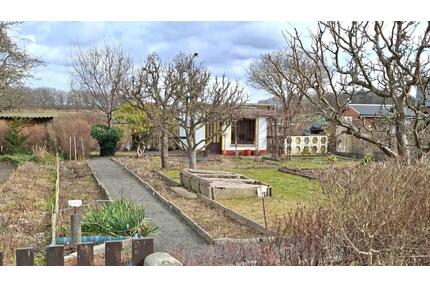 Kleingarten abzugeben - 200,00&nbsp;EUR Kaltmiete, ca.&nbsp; 0,00&nbsp;m&sup2; in Kamenz (PLZ: 01917)