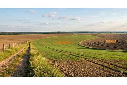 Grundstück in Vogtsburg im Kaiserstuhl 11.000,00 € 3538 m²