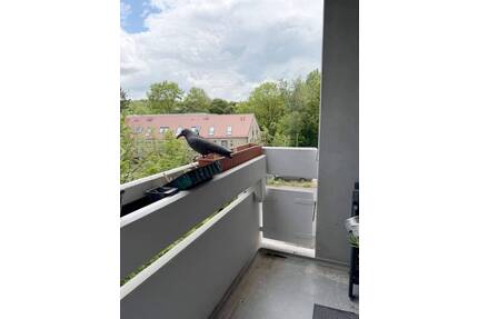 2-Zimmer-Eigentumswohnung mit Balkon, Aufzug und Schwimmbad in Würzburg-Versbach