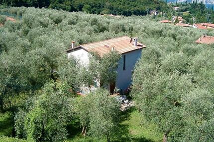 Freistehendes Ferienhaus Casa Laura in einem 2500 qm großen Olivenhain in Malcesine am Gardasee - München Nymphenburg