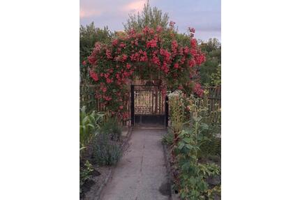 Pachtgarten 300 Quadratmeter Adresse auf der letzte Bild sehen - Leipzig Altwest