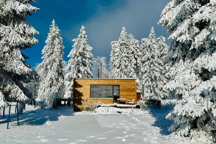 Ferienbungalow Ferienhaus STUGA am Rennsteig - Friedrichshöhe Eisfeld, Kamin, Haustiere Willkommen