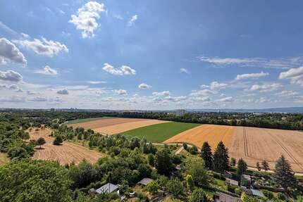 Wohnung zum Kaufen in Mainz 299.000,00 € 92 m²