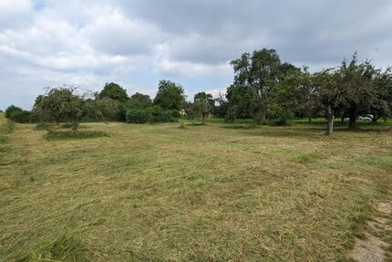 Wiese in Bietigheim Stückle Baumwiese Grundstück - Bietigheim-Bissingen