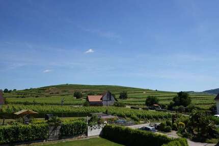 Wohnung zum Kaufen in Vogtsburg im Kaiserstuhl 339.000,00 € 124 m²