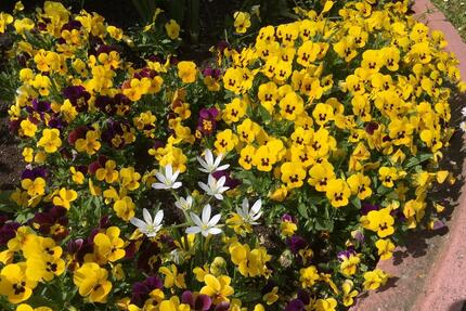 Helle kleine 2-Zimmer-DG-Wohnung in Waldbronn