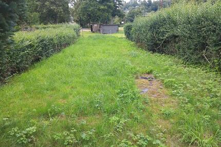 Garten abzugeben 220 m2 - 100,00&nbsp;EUR Kaltmiete, ca.&nbsp; 0,00&nbsp;m&sup2; in Pockau-Lengefeld (PLZ: 09509) Nennigmühle