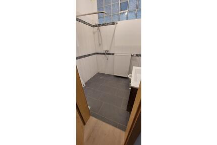 Gemütliche ebenerdige neue 60 qm EG-Wohnung m. Freisitz zu vermieten - Osann-Monzel