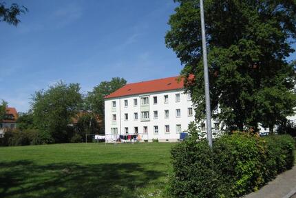 Die Wohnung für Ihre Familie - Kinder herzlich willkommen - Neukieritzsch