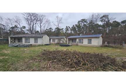 Haus zum Kaufen in Kloster Lehnin OT Trechwitz 498.000,00 € 57 m²