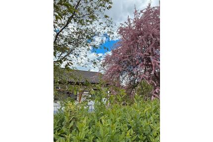 Einfamilienhaus, Winkelbungalow, ca. 850 qm, - Riedlingen
