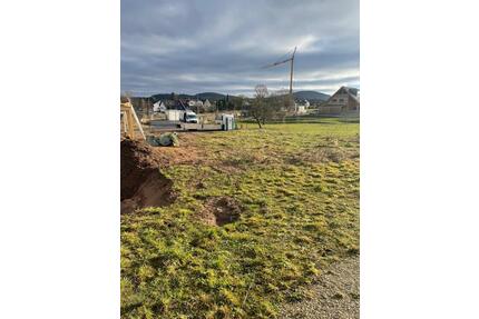 Bestlage gesucht?................Gefunden! - Aschaffenburg Schweinheim