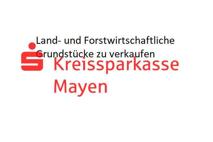 Grundstück in Kehrig 7.619,70 € 2309 m²