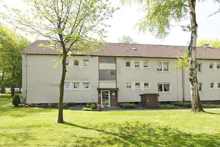 Wohnung zum Mieten in Gelsenkirchen 339,00 € 42.98 m²