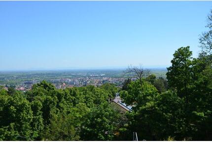 Helle 2-ZKB | toller Balkonausblick, Tiefgarage, Keller | Seebach - Bad Dürkheim
